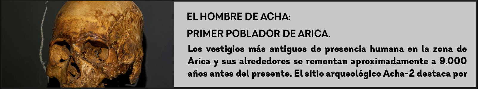Cráneo del hombre de Acha